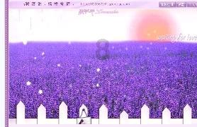 为什么我感觉我很丑呢？游戏画面